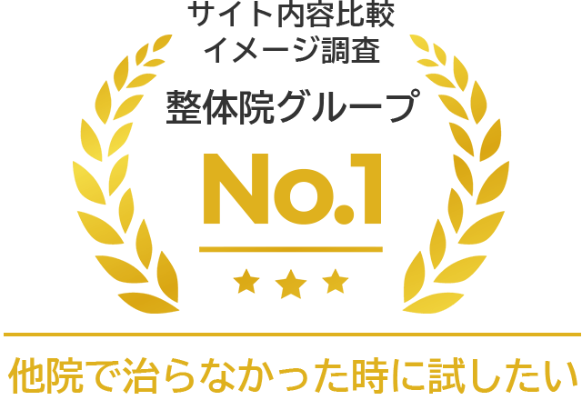サイト内容比較イメージ調査 整体院グループ No.1。他院で治らなかった時に試したい