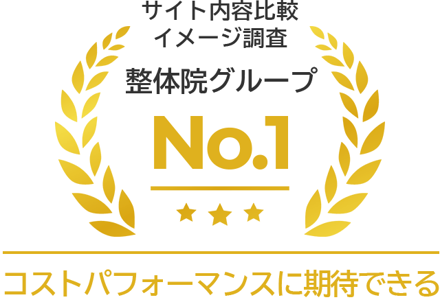 サイト内容比較イメージ調査 整体院グループ No.1。コストパフォーマンスに期待ができる