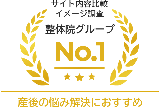 サイト内容比較イメージ調査 整体院グループ No.1。産後の悩み解決におすすめ